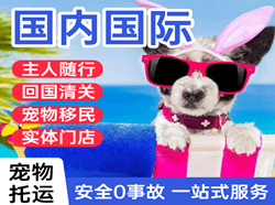 合肥新桥空运公司国际宠物托运 【国